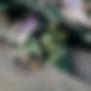 Asma Begum, 21 years old, Hyderabad, India